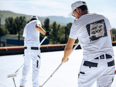 About Leaking Skylight Repair Pros Freedom, WY